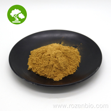 Top Quality Angelica Extract/Angelica Sinensis Root Extract